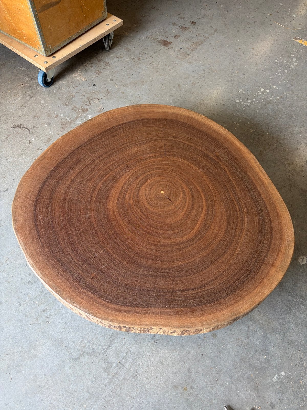 Unieke Azobe schijven - Salontafel of ornament, Ophalen, 50 tot 100 cm, Rond, Nieuw