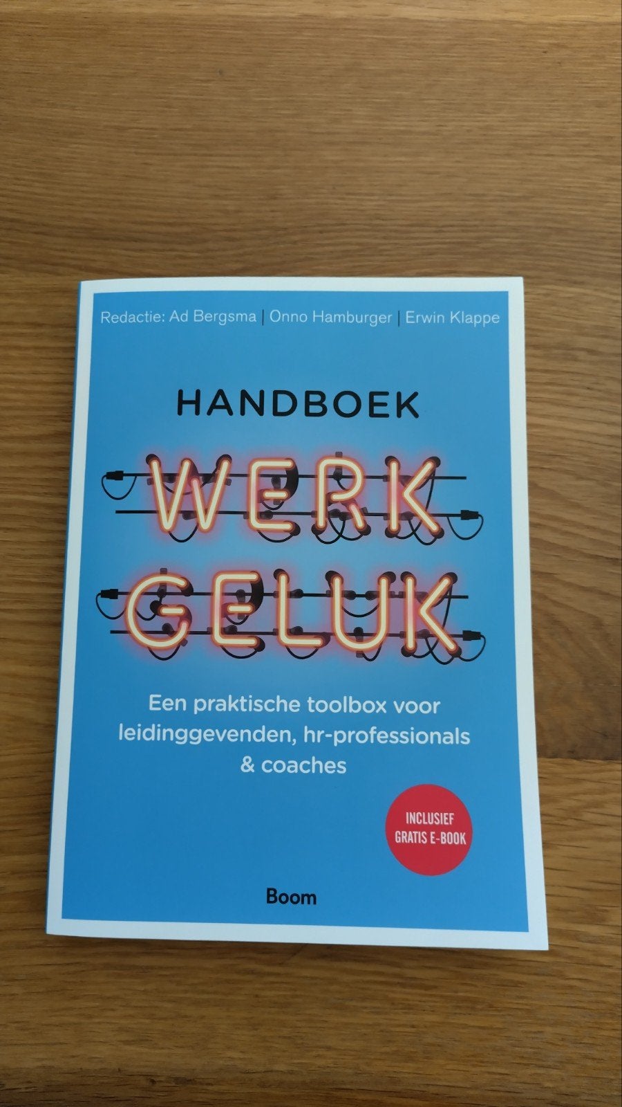 Handboek Werkgeluk: Praktische Toolbox voor Leidinggevenden, Ophalen of Verzenden, Zo goed als nieuw, Personeel en Organisatie
