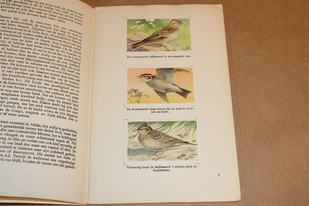 Kanis & Gunnink Vogelboekje [1954] — Compleet, Boeken, Ophalen of Verzenden, Gelezen