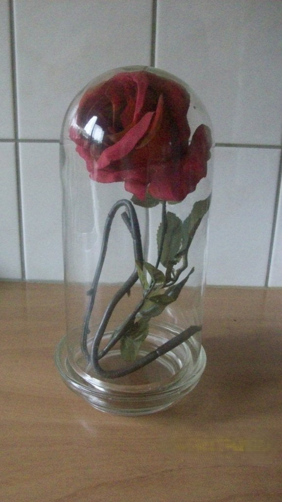 Glazen stolpen, Met deksel, Ophalen of Verzenden, Zo goed als nieuw, 13 cm