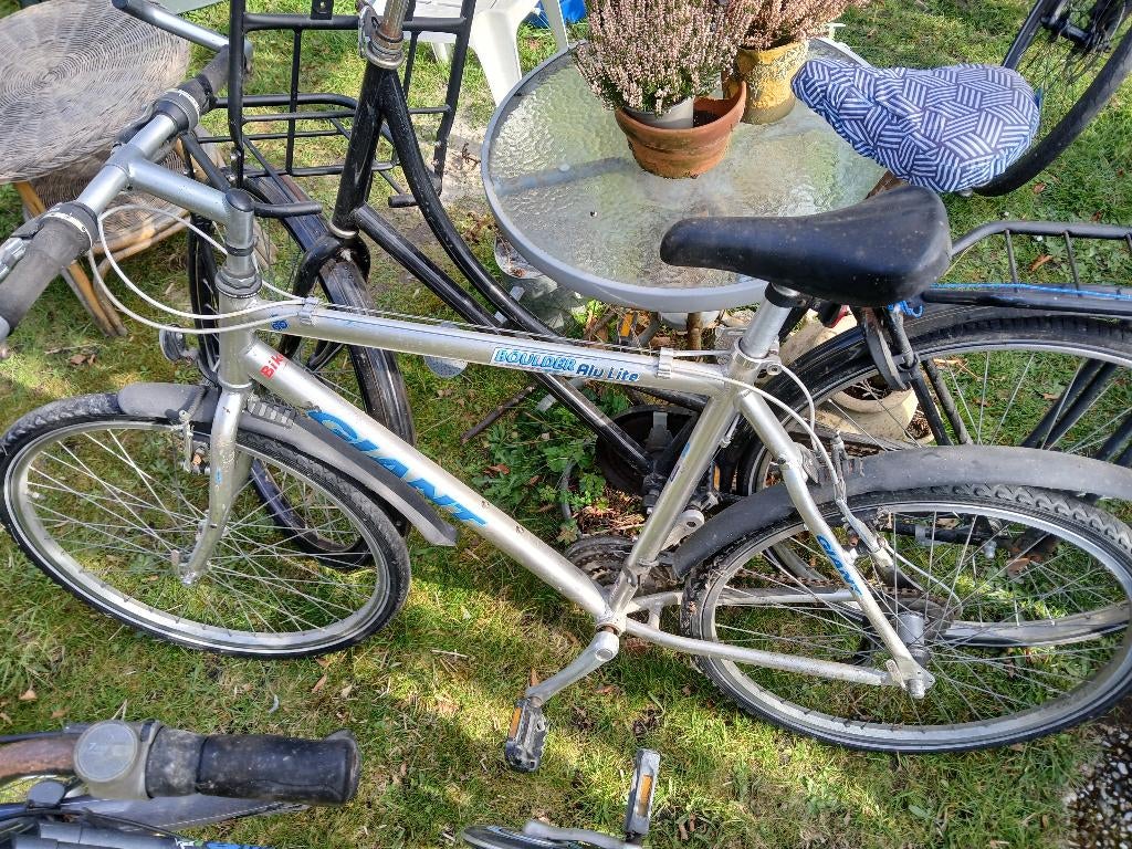 Mountainbike Giant, Ophalen, Gebruikt, Heren, Giant