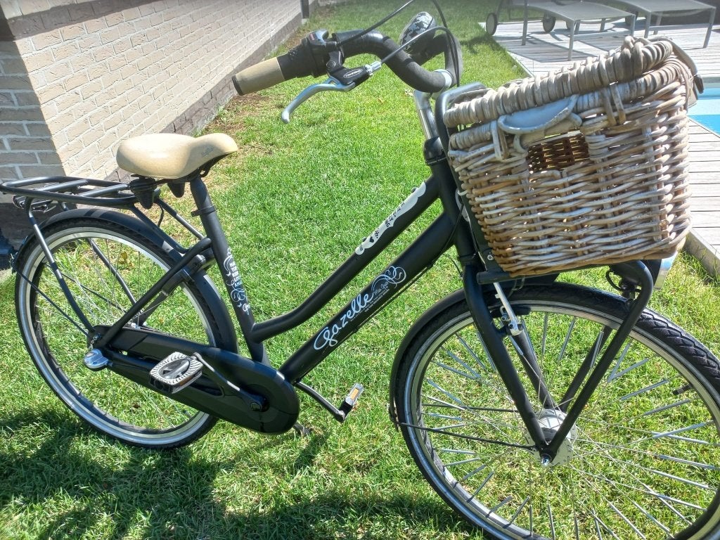 Gazelle Miss Grace 26 inch, Gebruikt, Versnellingen, Gazelle, Ophalen