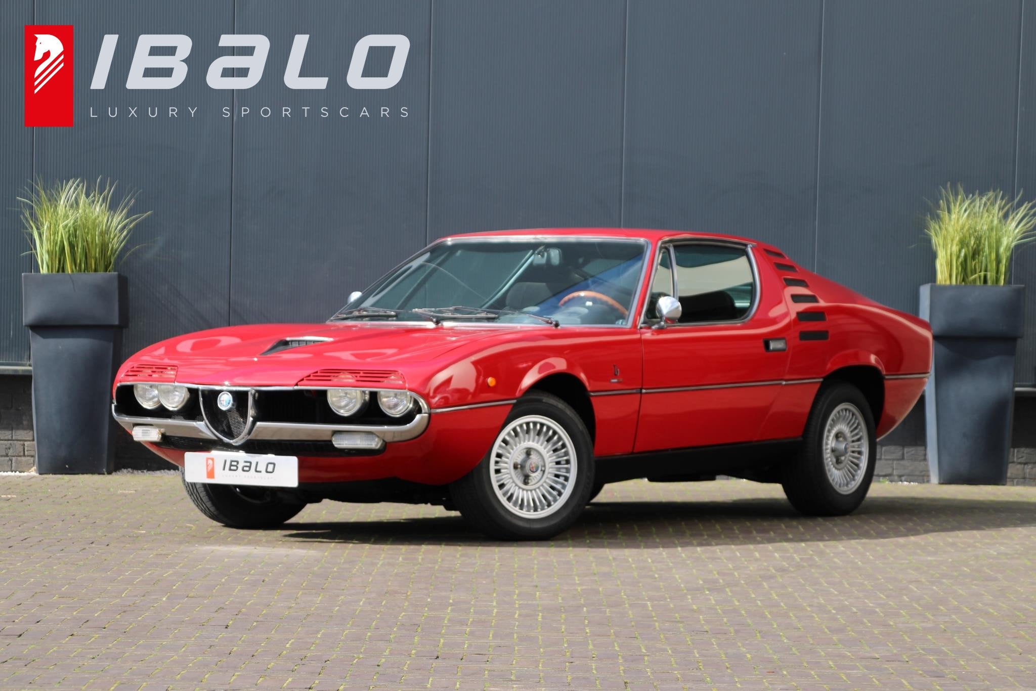 Alfa Romeo Montreal Coupé 2.6 V8 | Topstaat | ZF 5-versnell