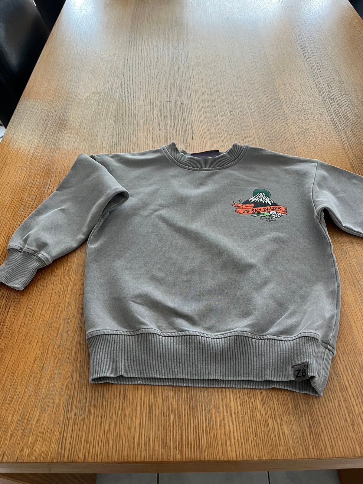 Truitje maat 104 /110, Kinderen en Baby's, Ophalen of Verzenden, Zo goed als nieuw, Jongen, Trui of Vest