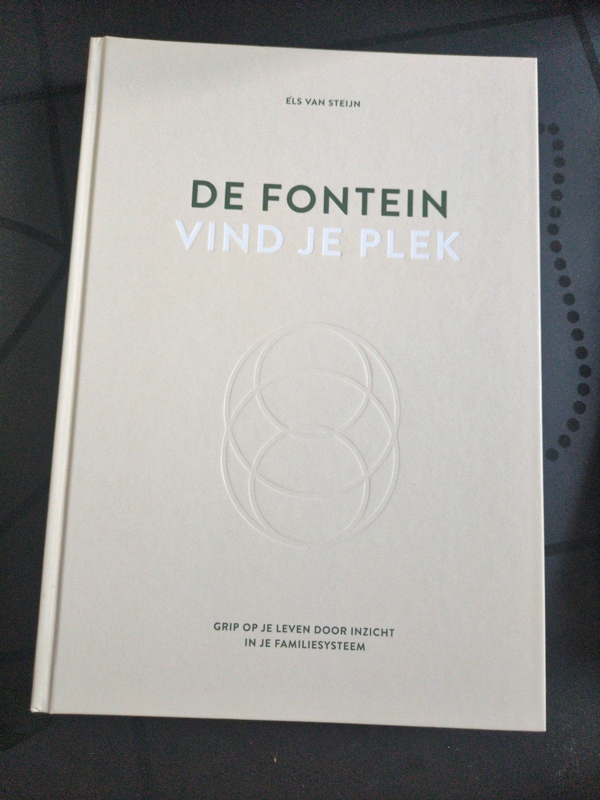 De Fontein: Vind je plek - Els van Steijn, Boeken, Ophalen of Verzenden, Zo goed als nieuw, Els van Steijn