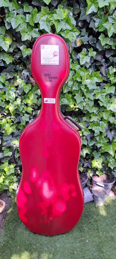 Rode stevige cello hoes, Muziek en Instrumenten, Behuizingen en Koffers, Ophalen of Verzenden, Overige instrumenten