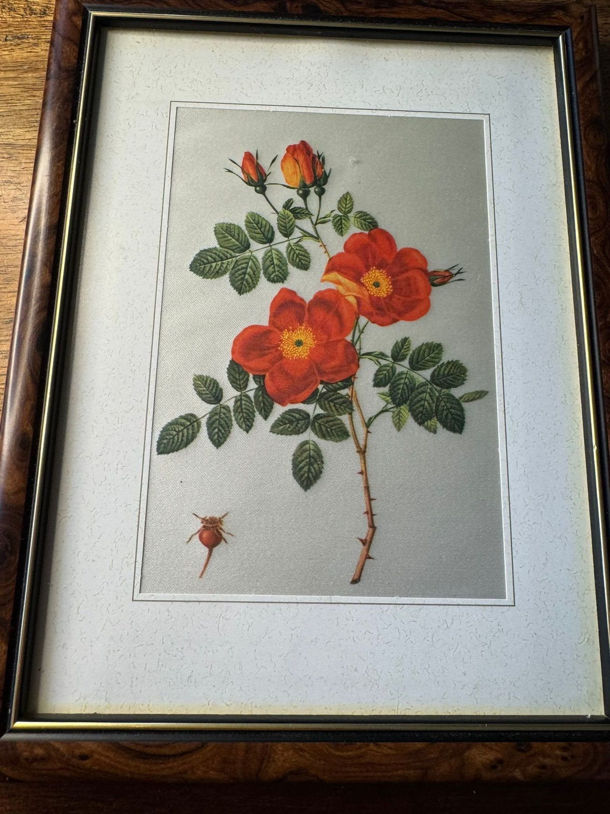 Redouté prenten 2x, Natuur, Gebruikt, Ophalen of Verzenden, Voor 1940