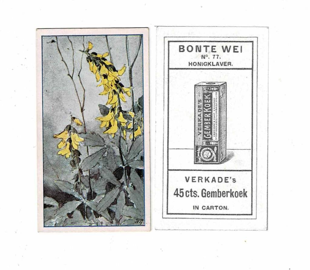 Oud plaatje van "VERKADE", Verzenden, Nieuw, Overige typen