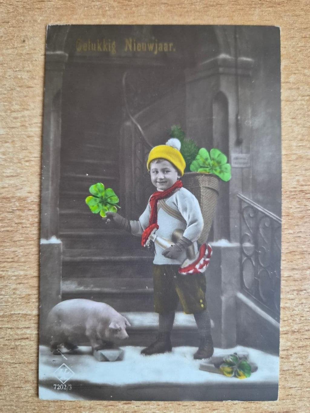 Oudejaarskaart 'Gelukkig Nieuwjaar' met jongen en varken, Verzamelen, Verzenden, Voor 1920, Ongelopen, Overijssel