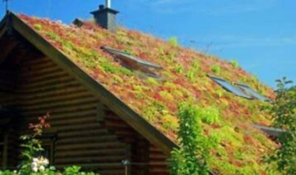 Sedum-matten op uw dak, Sedummixmat Substraat en toebehoren, Bodembedekkers, Volle zon, Vaste plant, Ophalen of Verzenden