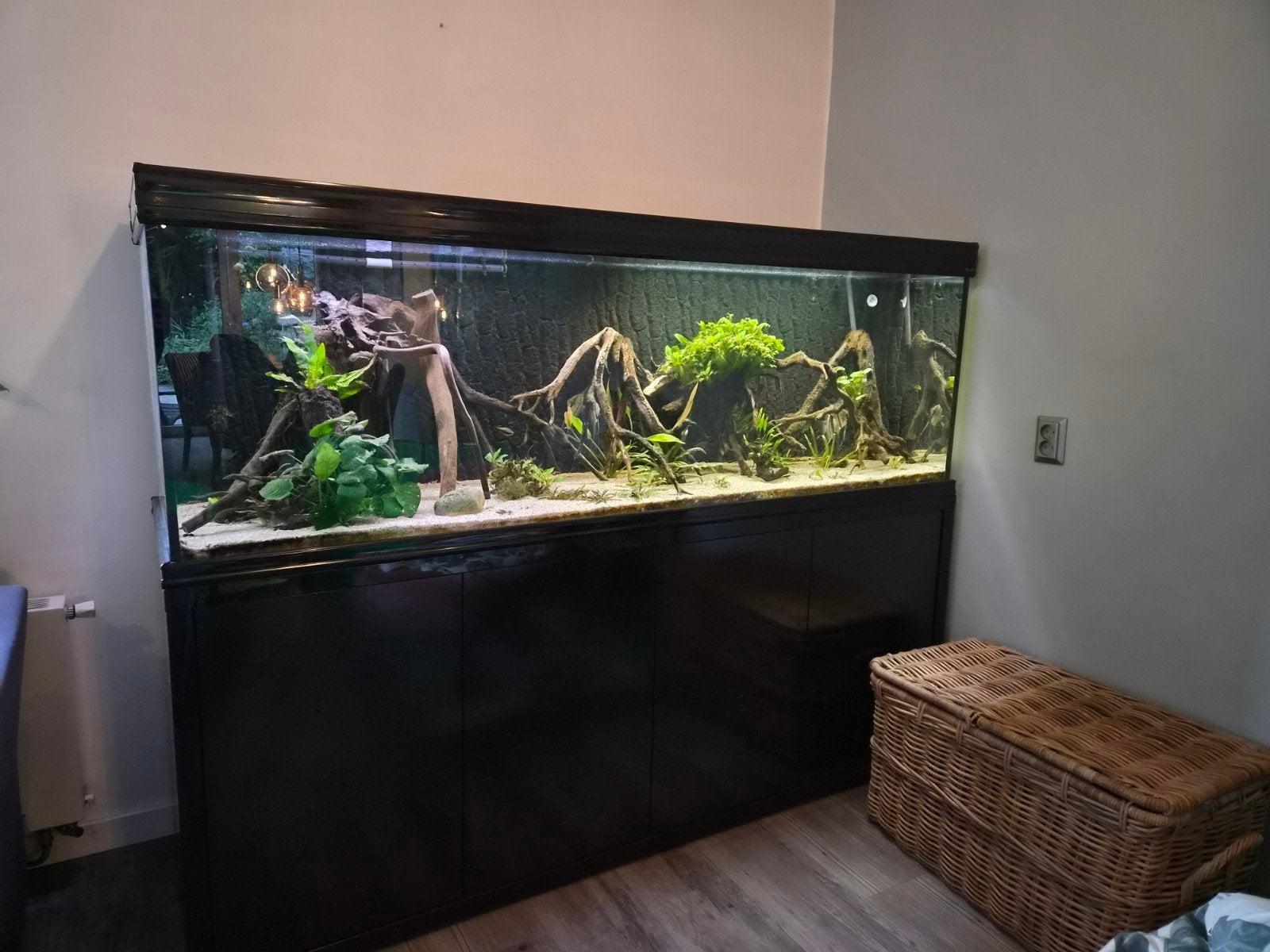 Aquarium 2 meter inclusief alle toebehoren, Ophalen, Inclusief deksel, Gebruikt, Gevuld zoetwateraquarium