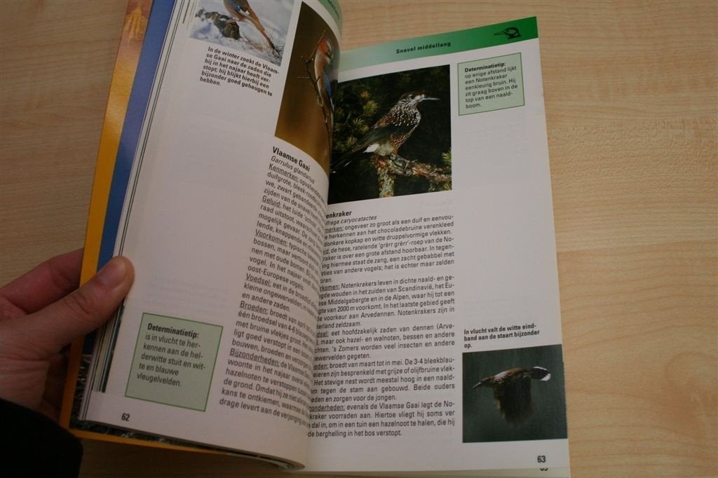 Vogels — Observeren, Herkennen & Beschermen in Beeld, Ophalen of Verzenden, Zo goed als nieuw, Vogels