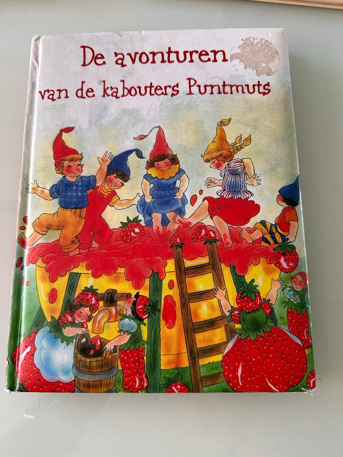 De avonturen van de kabouters Puntmuts - Sprookjesboek, Ophalen of Verzenden, Gelezen, Sprookjes