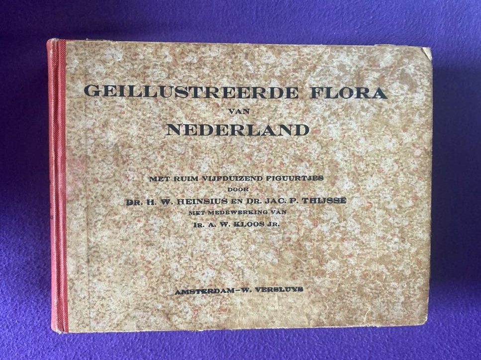 Geïllustreerde Flora van Nederland - 13e druk, Ophalen of Verzenden, Gelezen, Bloemen, Planten en Bomen