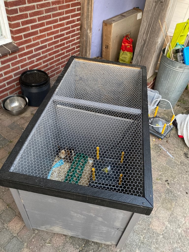 Kuiken opfokkooi / bak, Ophalen, Zo goed als nieuw, Overige typen