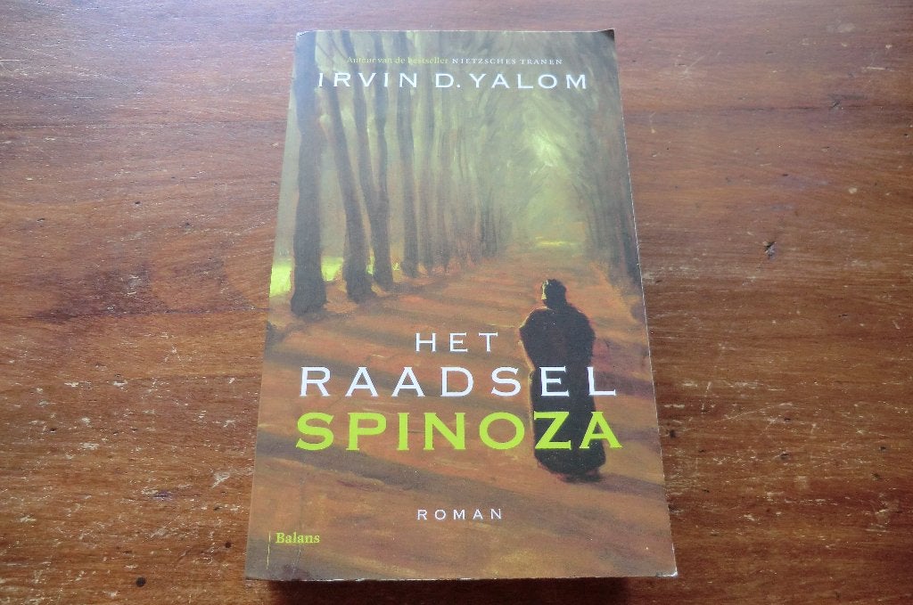 boek - roman - Het raadsel Spinoza - Irvin D. Yalom, Ophalen of Verzenden, Gelezen
