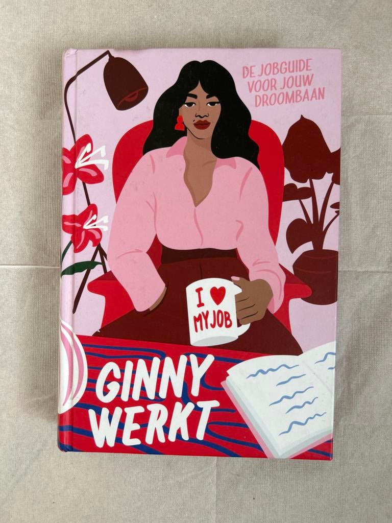 Ginny Werkt: De Jobguide voor jouw droombaan, Ophalen of Verzenden, Zo goed als nieuw