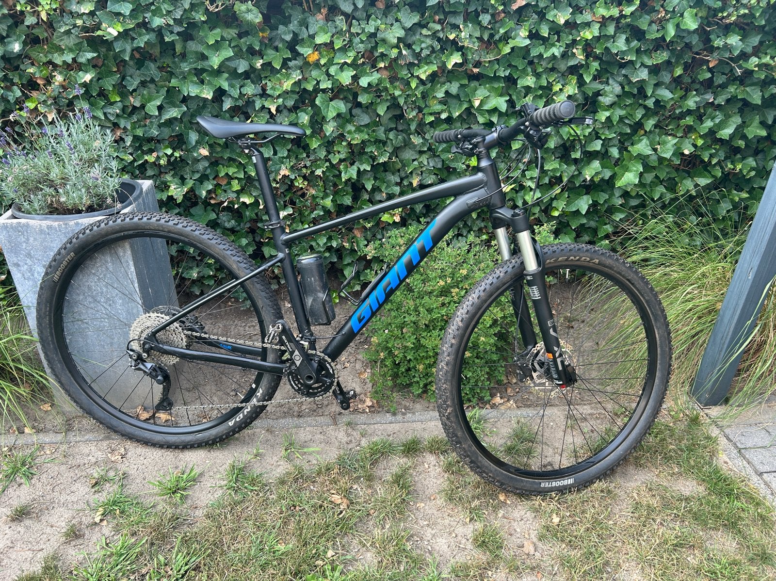 Giant Talon 29 inch MTB - Zo goed als nieuw, Ophalen, Hardtail, Heren, Giant