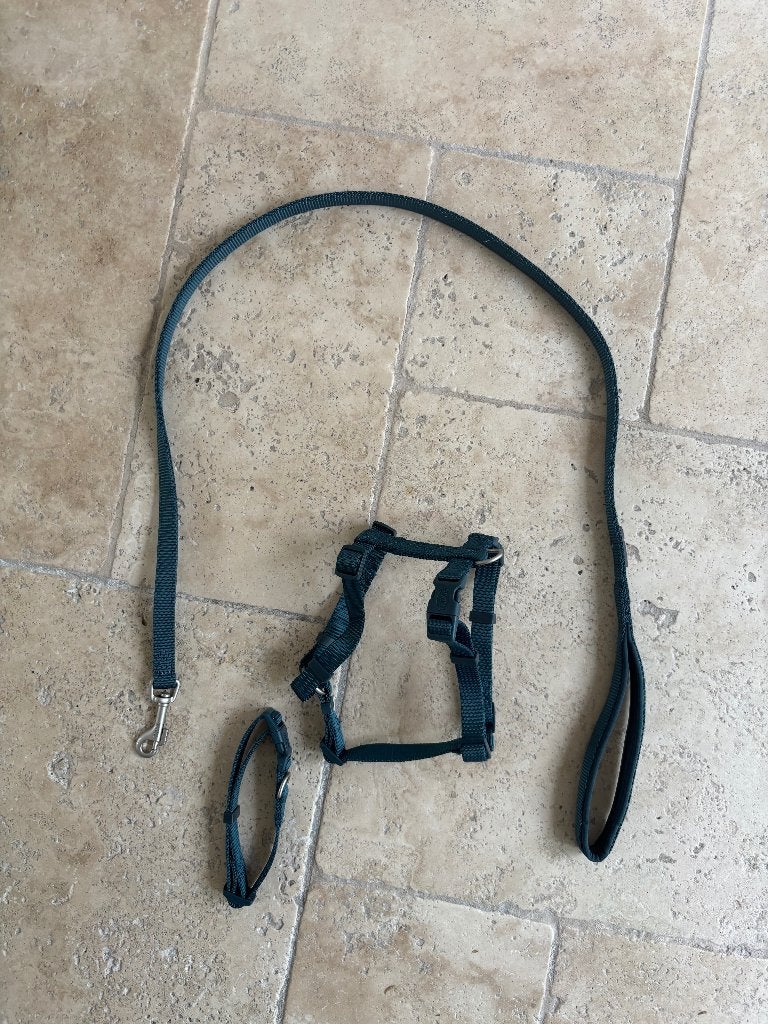 Halsband, y-tuig, riem Trixie, turkooise blauw, s, nieuw, Ophalen of Verzenden, Nieuw, Hondenriem