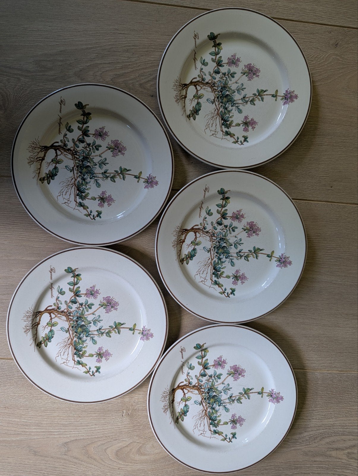 Vintage Villeroy & Boch Botanica servies - borden en kopjes, Ophalen of Verzenden, Zo goed als nieuw, Overige stijlen, Kop(pen) en/of Schotel(s)