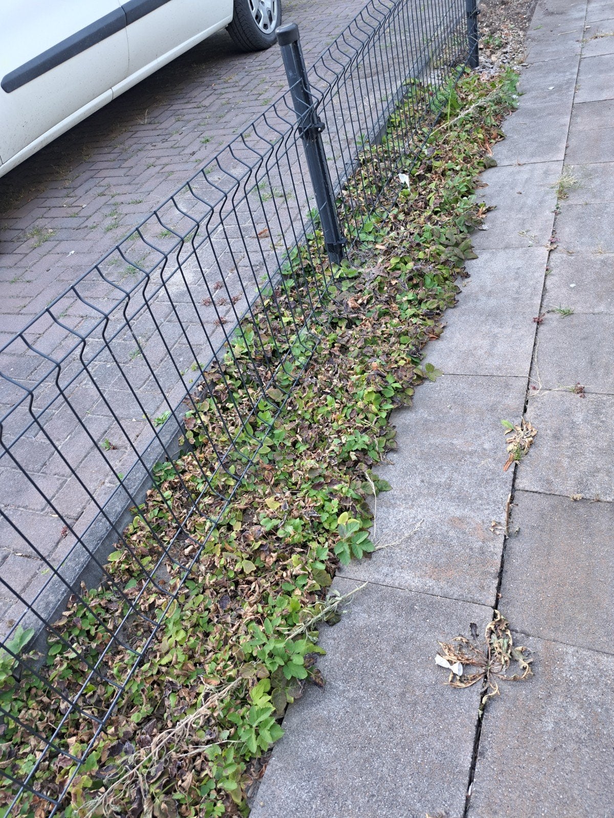 Hekwerk antraciet, Tuin en Terras, Gaas en Draad, Ophalen, Gebruikt, Minder dan 10 meter