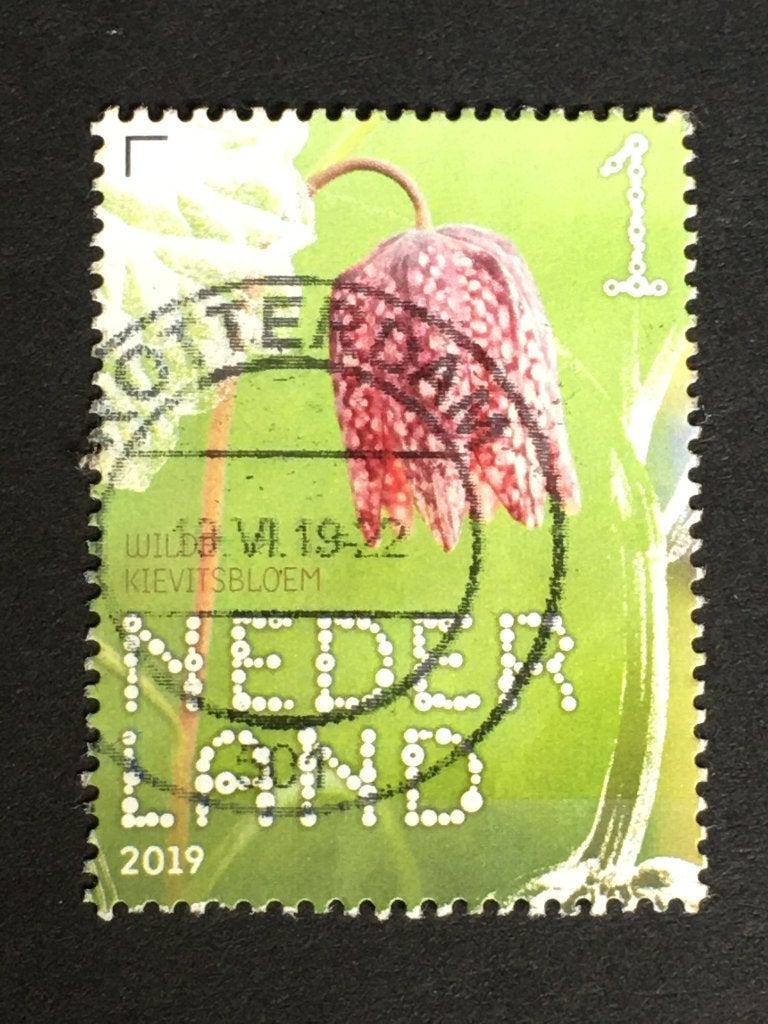 jhnc 2310 Neder 2019 NVPH 3731Beleef Stinsen, Kievitsbloem-, Ophalen of Verzenden, Na 1940, Gestempeld