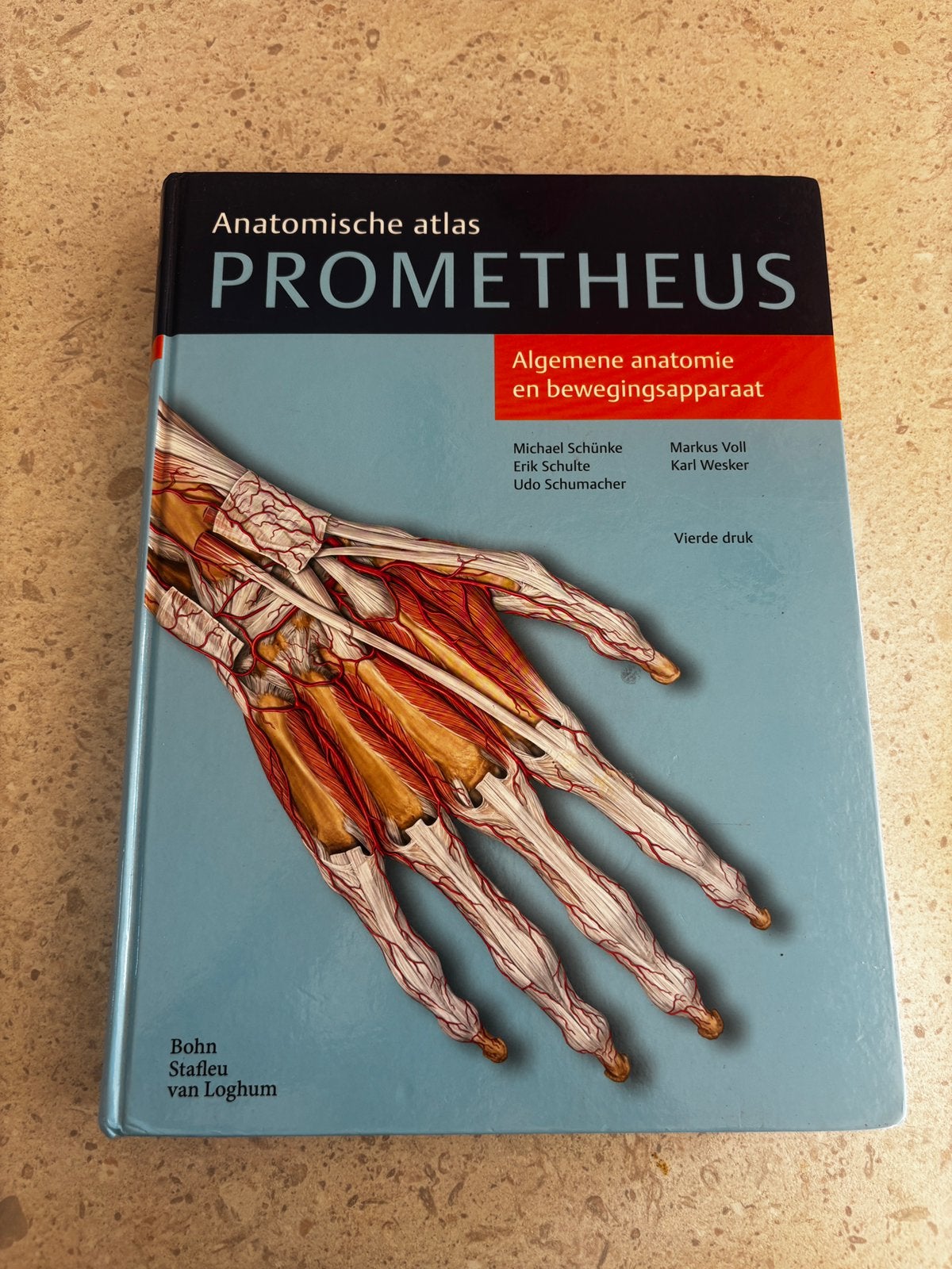 PROMETHEUS - anatomische atlas, Ophalen of Verzenden, Beta, Zo goed als nieuw, HBO