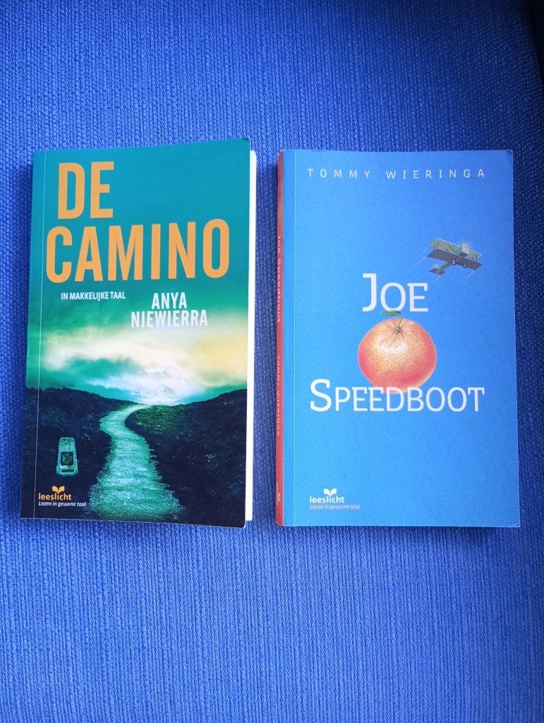 2 romans in makkelijke taal, Boeken, Diverse auteurs, Ophalen of Verzenden, Zo goed als nieuw, Nederland