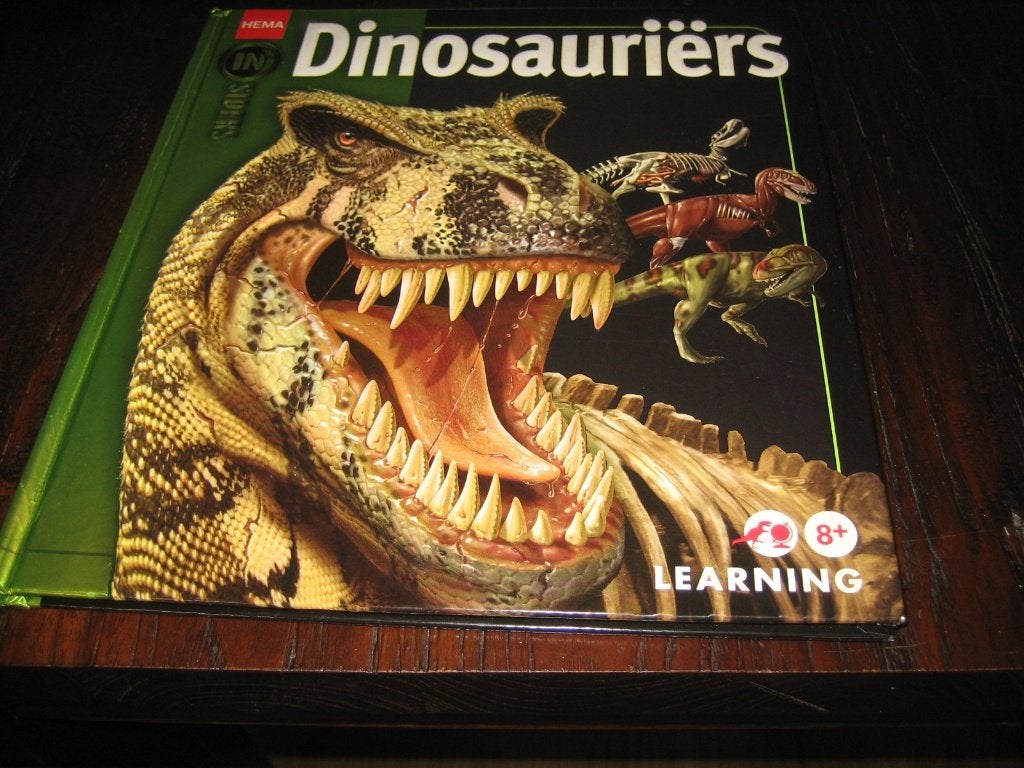 Boeken MAGNEET spel DINOSAURUSSEN, Ophalen of Verzenden, Zo goed als nieuw, Fictie algemeen