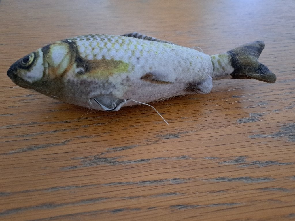 speelgoed vis voor kat , helaas stuk, voor iemand die handi, Dieren en Toebehoren, Katten-accessoires, Ophalen of Verzenden, Gebruikt