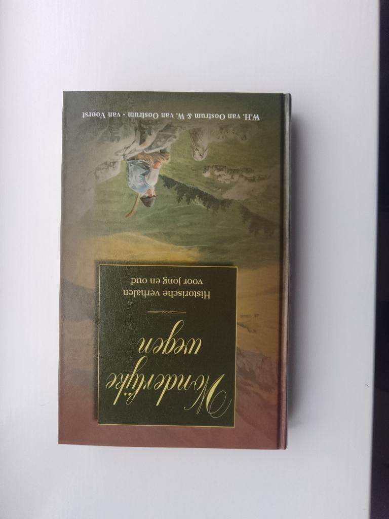 Wonderlijke wegen-W. v. Oostrum en W. v. Oostrum-van Voorst, Boeken, Christendom | Protestants, Ophalen of Verzenden, Zo goed als nieuw