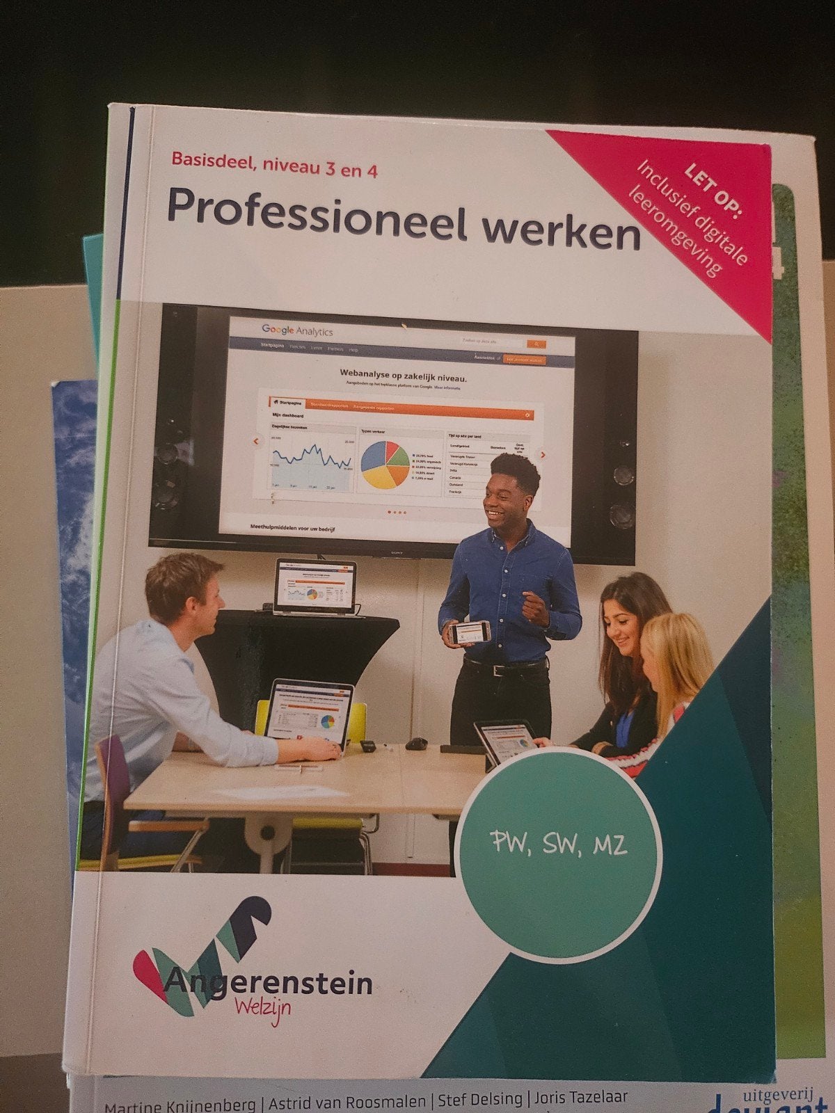 Professioneel werken - Basisdeel, niveau 3 en 4, Ophalen of Verzenden, Zo goed als nieuw, Overige niveaus, Overige vakken