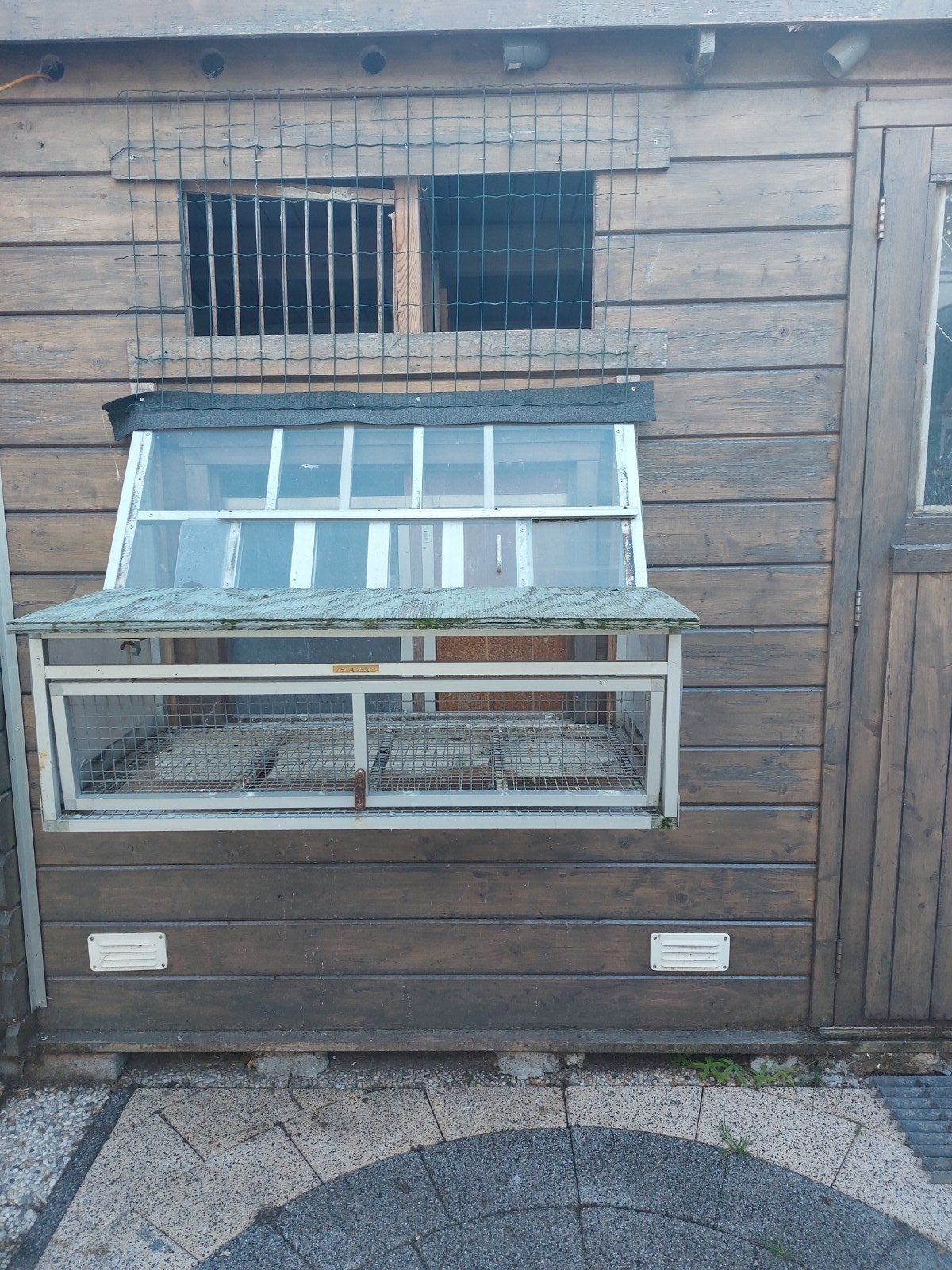 Te koop Duiven spoetnikken per stuk, Meerdere dieren, Postduif