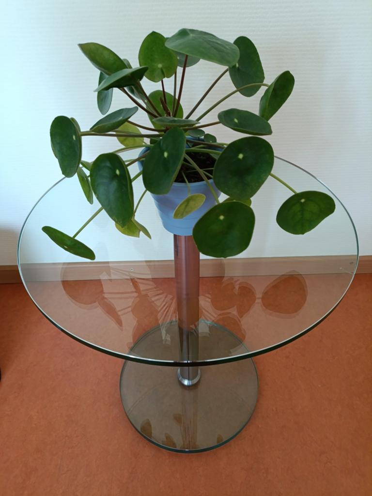 Te koop glazen bijzettafel., Huis en Inrichting, Tafels | Bijzettafels, 45 tot 60 cm, Minder dan 55 cm, Rond, Ophalen of Verzenden