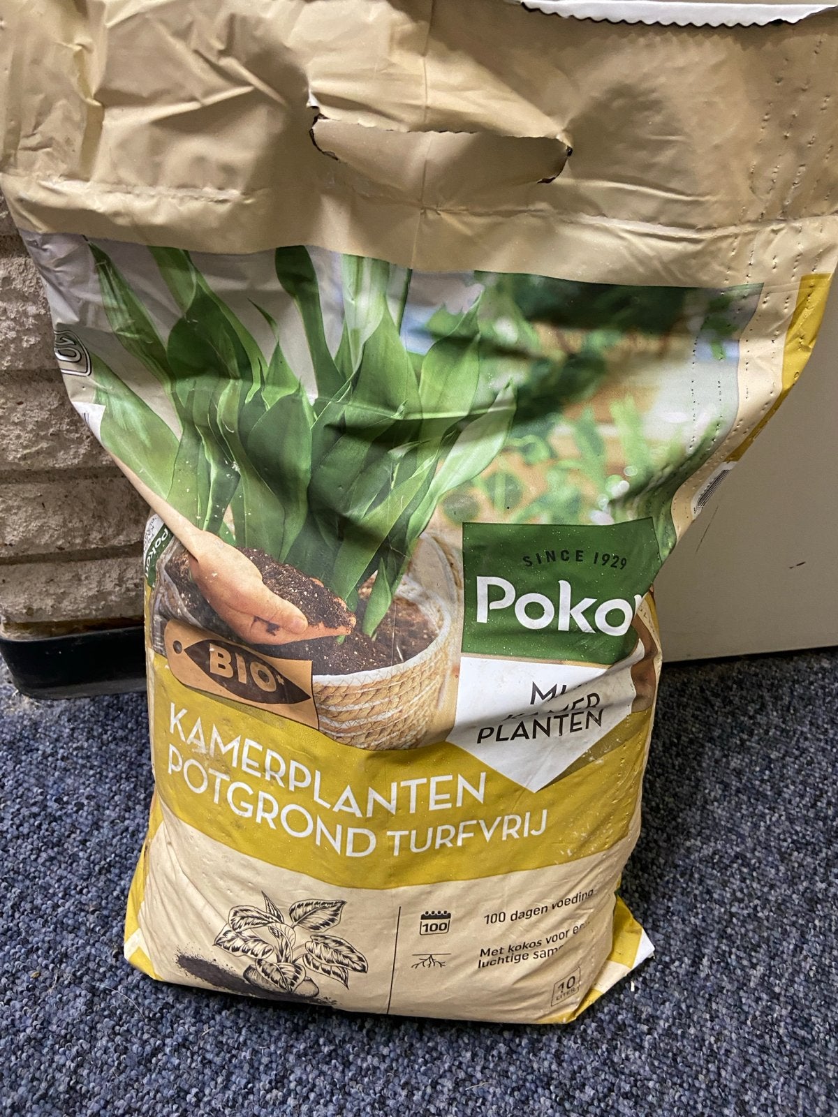 Pokon Bio Kamerplanten Potgrond Turfvrij - 10L, Ophalen, Potgrond