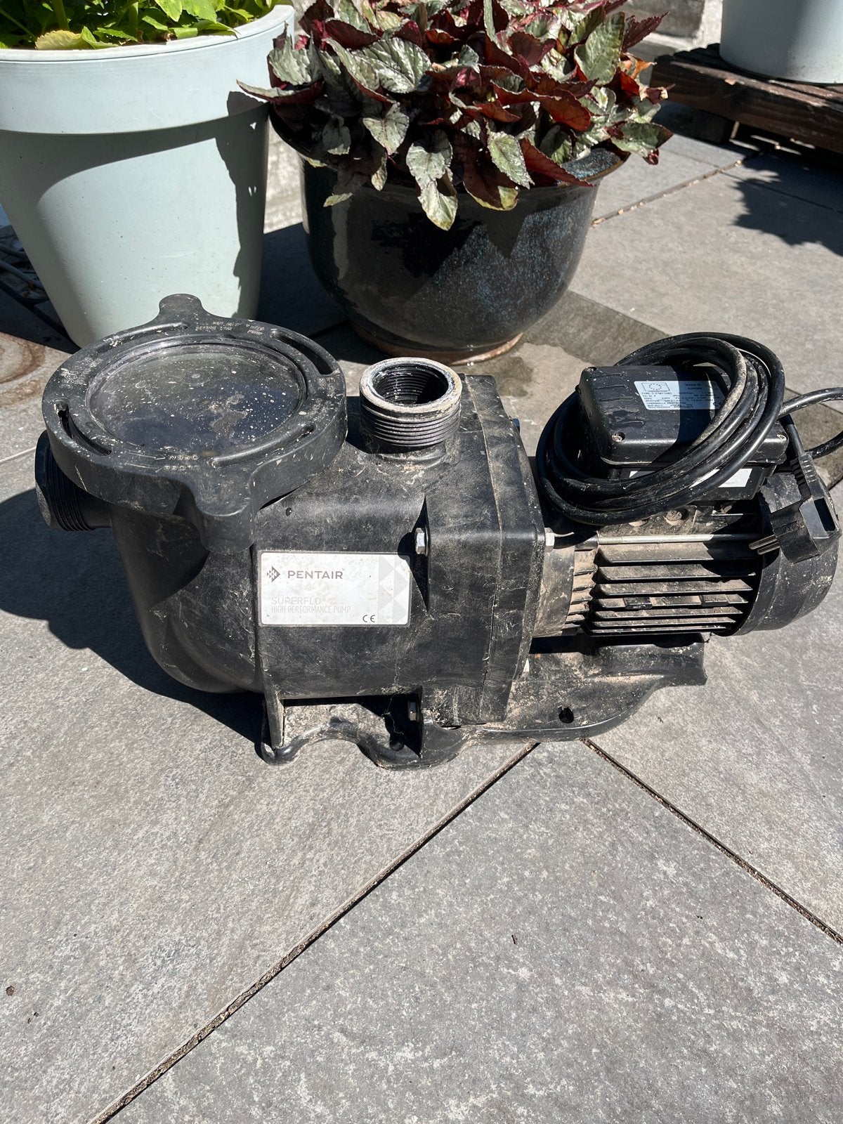 Pentair SuperFlo Zwembadpomp - 0.37kW/0.5HP, Ophalen, Gebruikt, Zwembadpomp
