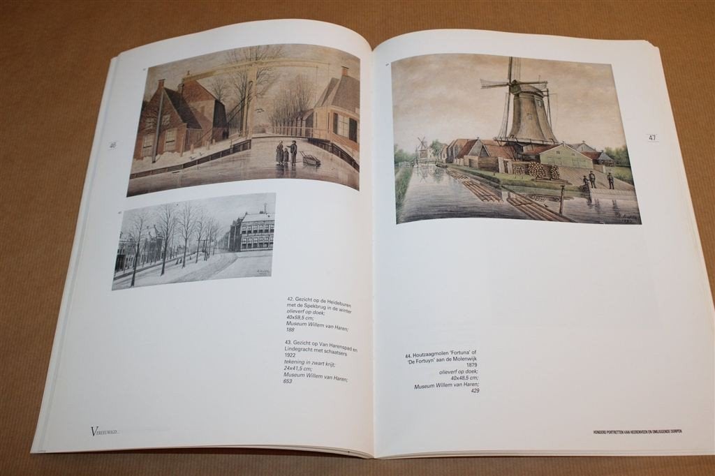 Vereeuwigd — 100 Portretten Heerenveen, Museum W. van Haren, Ophalen of Verzenden, Gelezen