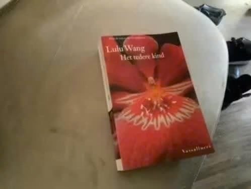 Het tedere kind - Lulu Wang (roman), Gelezen, Lulu Wang, Ophalen of Verzenden, Nederland