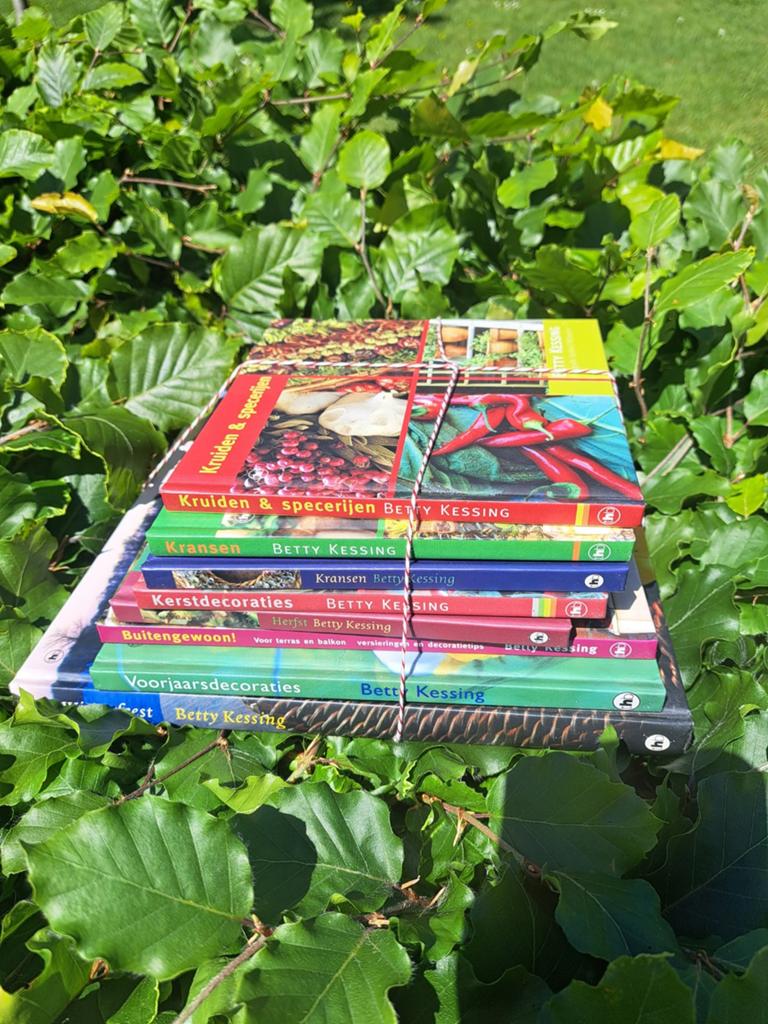 8 boeken Betty Kessing, Boeken, Ophalen of Verzenden, Nieuw, Overige onderwerpen