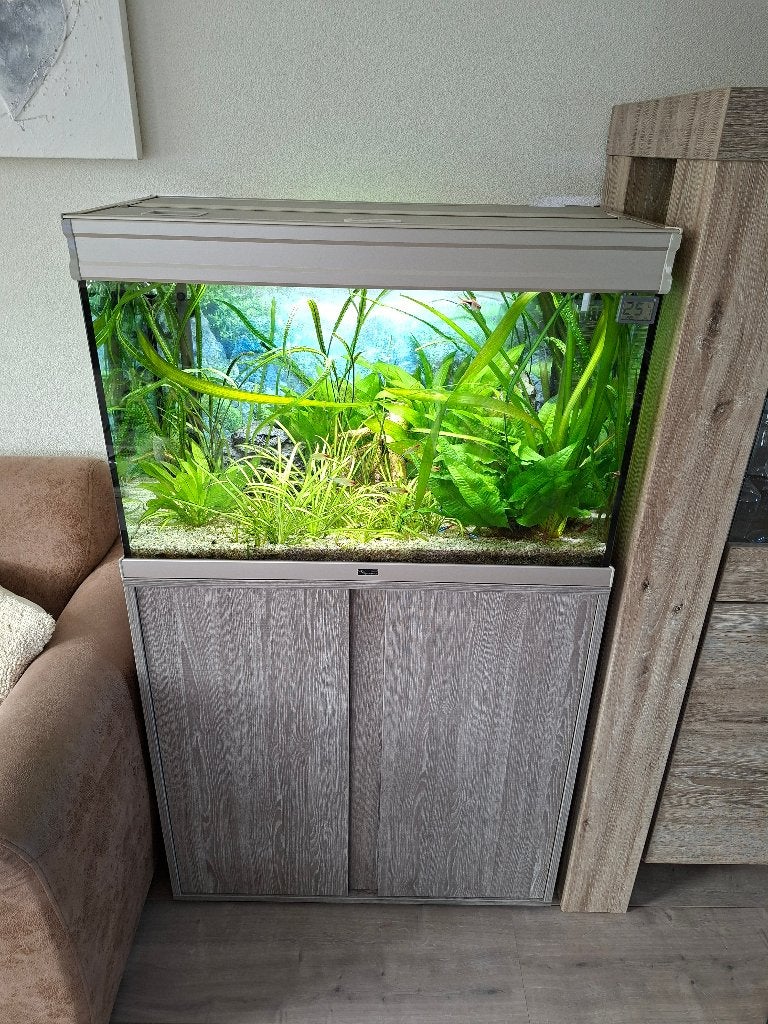 Aquarium Aquatlantis, Ophalen, Gebruikt, Inclusief vissen, Aquatlantis