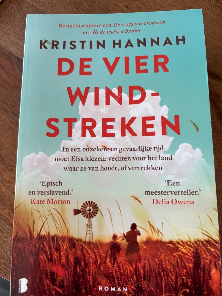 Kristin Hannah / De vier windstreken, Gelezen, Ophalen of Verzenden, Kristin Hannah, Amerika