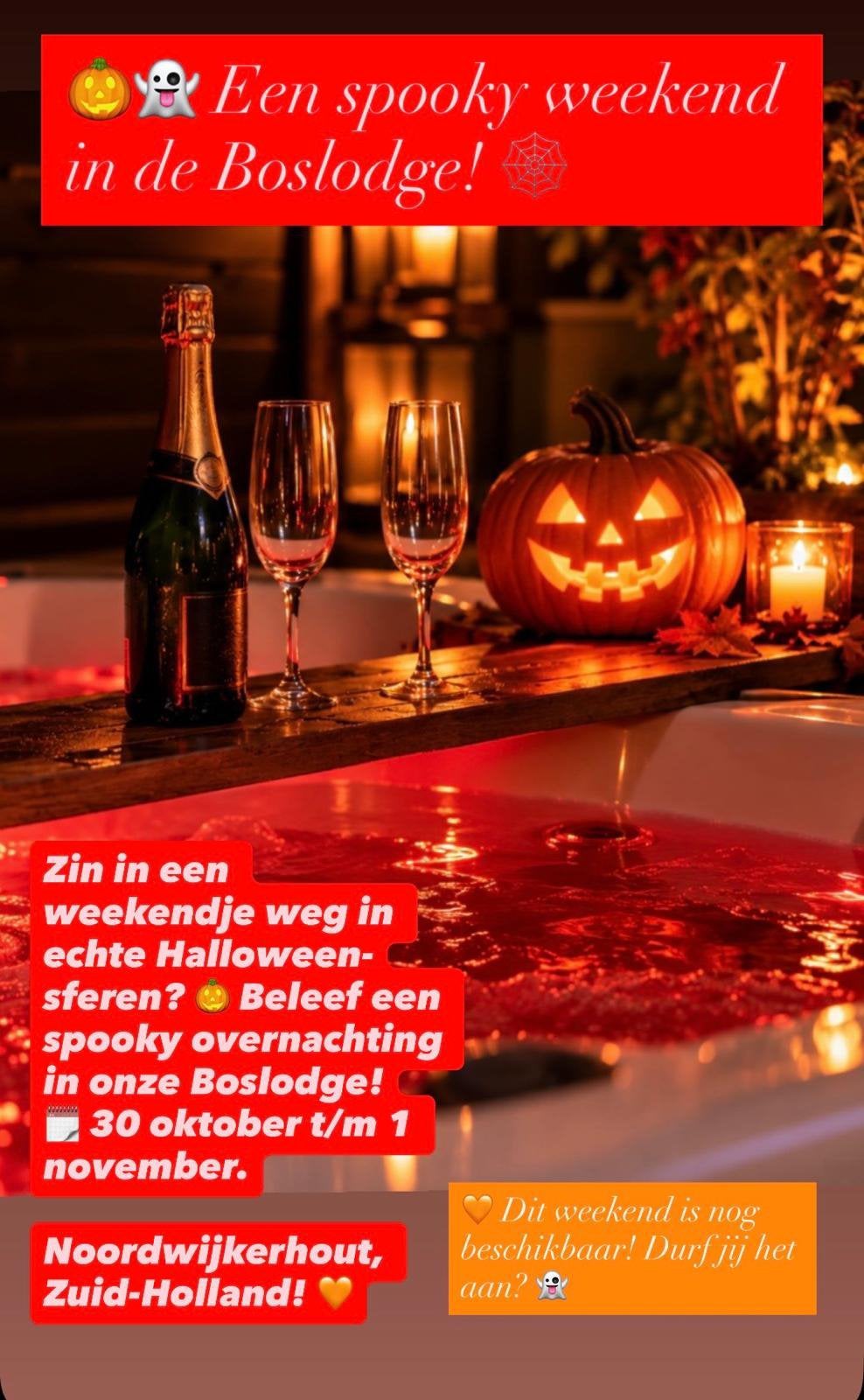 Vakantiehuizen te huur