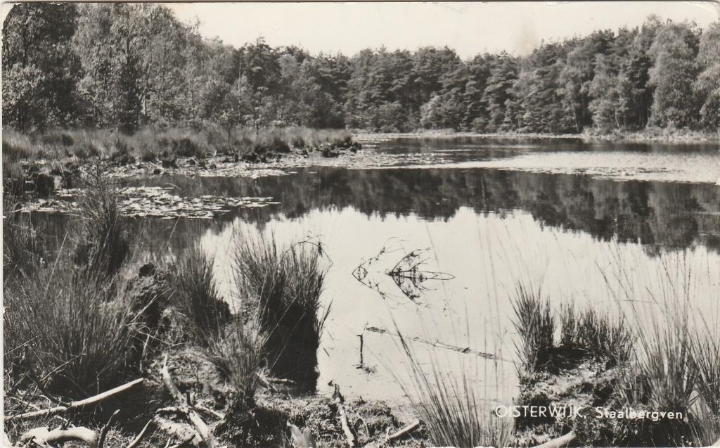 OISTERWIJK Staalbergven, Verzenden, 1960 tot 1980, Gelopen, Noord-Brabant