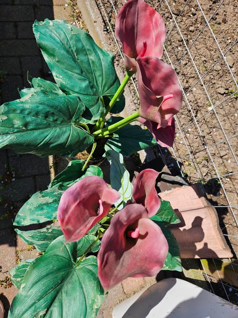 Zwarte vazen met kunstbloemen (Calla lelies), Ophalen of Verzenden, Gebruikt, Unisex volwassen