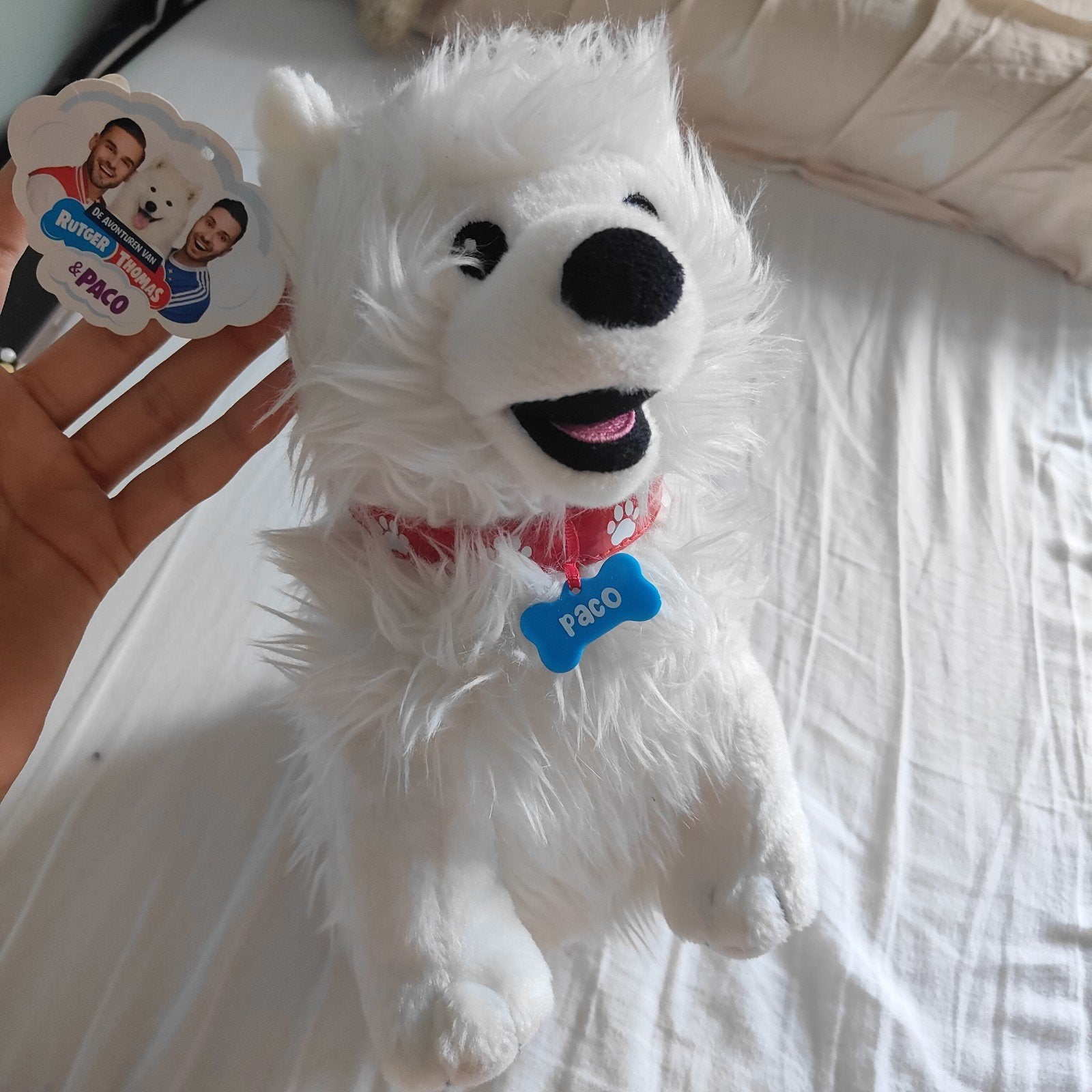 Paco de Hond Knuffel - Rutger, Thomas & Paco, Overige merken, Overige karakters, Middelgroot (20 tot 80 cm), Wit
