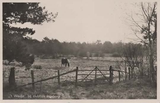 Leusden 't Weidje bij clubhuis Ingeborg, Verzenden, 1940 tot 1960, Gelopen, Utrecht