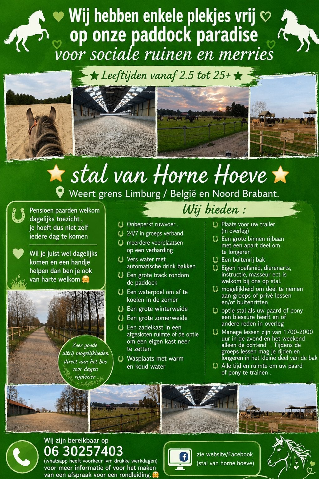 Pensionstalling pensioenpaarden paddock paradise  weide stal, Stalling