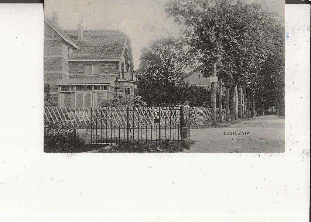 Loosduinen Bloemendaal Ingang Gr Loosduinen 23 aug 1908, Verzamelen, Ansichtkaarten | Nederland, Ophalen of Verzenden, Voor 1920