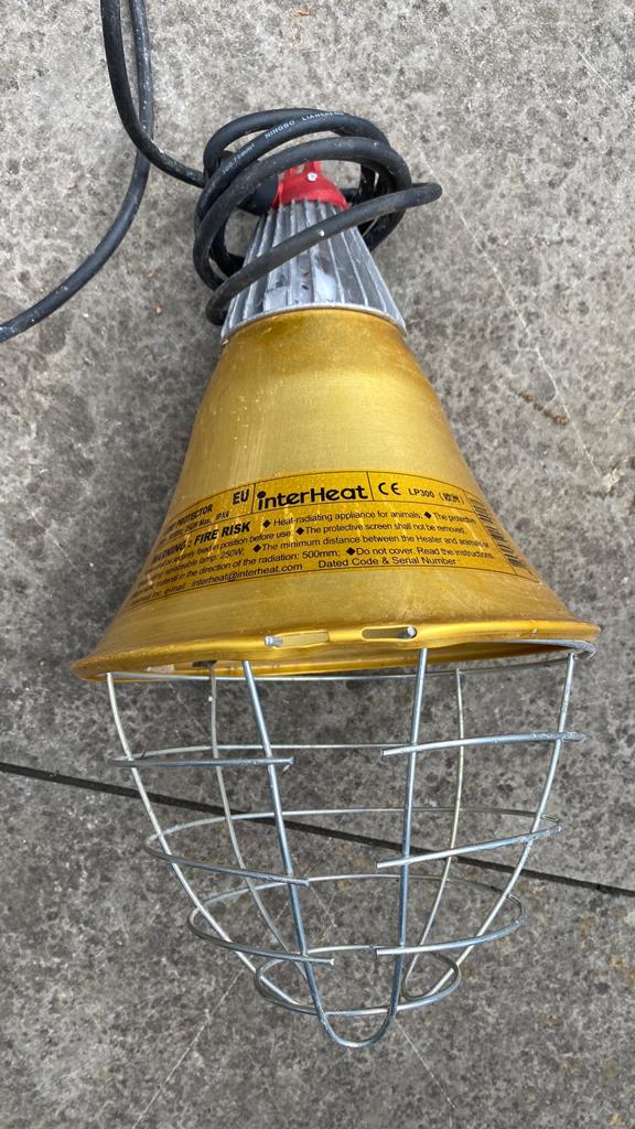 Warmtelamp met nieuwe Philips lamp, Ophalen of Verzenden, Zo goed als nieuw