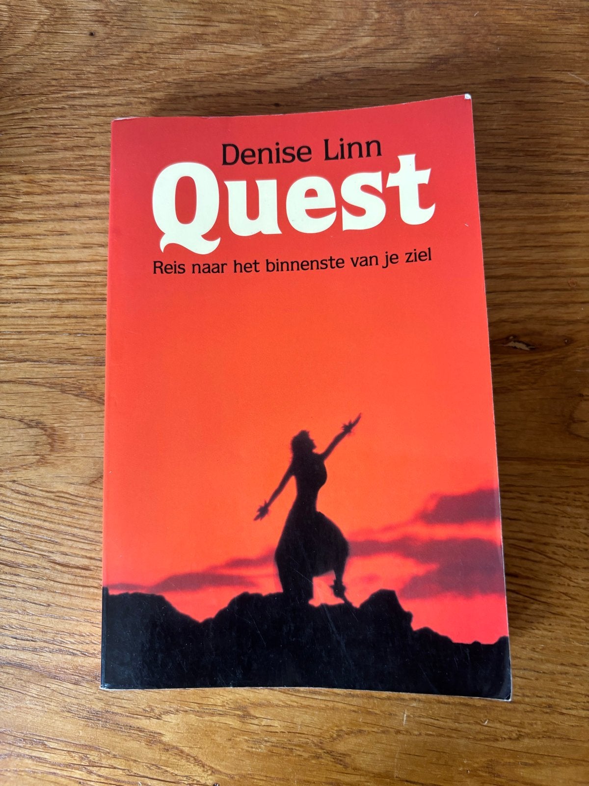 Quest: Reis naar het binnenste van je ziel - Denise Linn, Boeken, Esoterie en Spiritualiteit, Ophalen of Verzenden, Gelezen, Spiritualiteit algemeen